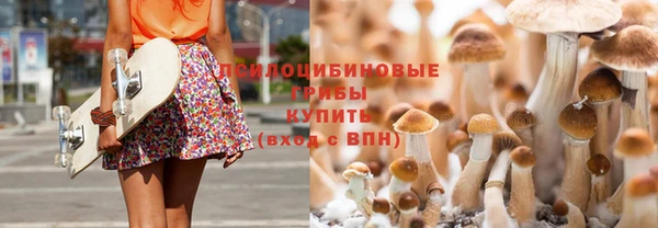 jwh Белокуриха