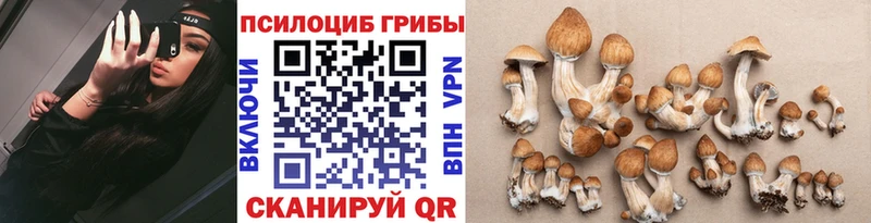 Галлюциногенные грибы MAGIC MUSHROOMS  Вязьма 